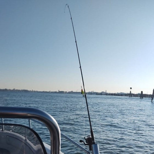 Guida alla scelta della canna da pesca