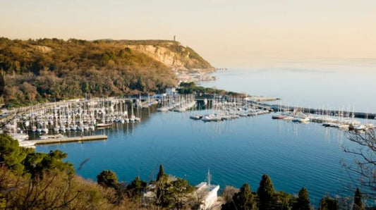 Guida completa alla Pesca Sportiva nel Golfo di Trieste