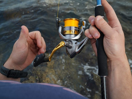 I Mulinelli da Pesca: Scelta e Manutenzione