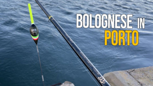 Pesca a Bolognese in Mare: guida completa, tecniche e consigli