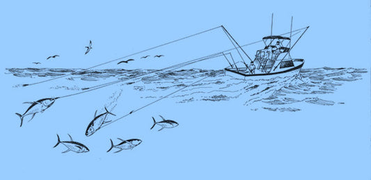 Pesca a Traina: Guida Completa Tecniche, Attrezzature e Prede