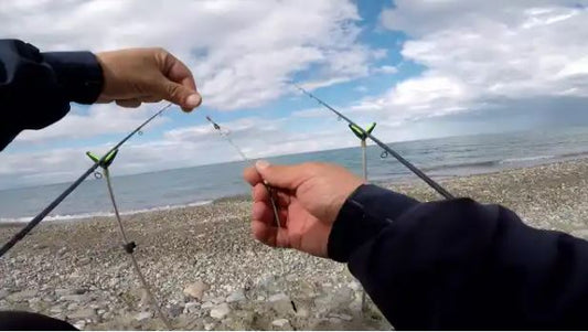 Pesca Feeder in Mare: Guida Completa a Tecniche, Montature ed Esche