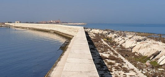 Pescare ai Murazzi di Pellestrina: guida completa
