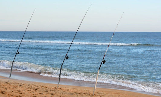 Pescare in Spiaggia di Lignano Riviera: guida completa (spot, tecniche, stagioni, regole)