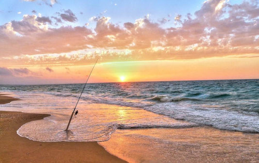 Surfcasting in Mare: Guida Completa a Tecniche, Attrezzature ed Esche