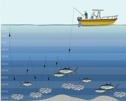 Vertical Jigging e Inchiku: guida completa tecnica, attrezzatura e prede