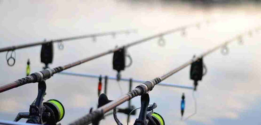 Occhiali per Carpfishing
