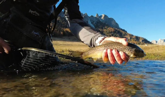 Attrezzatura Essenziale per la Pesca in Laghi, Fiumi e Torrenti: Guida Completa e Consigli Utili