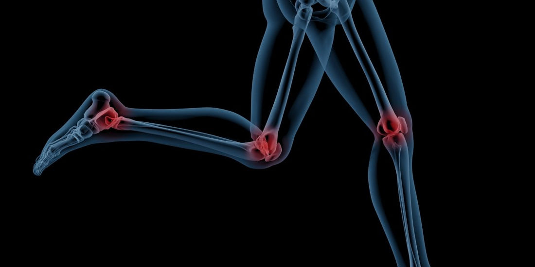 Correre Fa Male alle Articolazioni? Verità e Miti sulla Corsa e la Salute delle Articolazioni