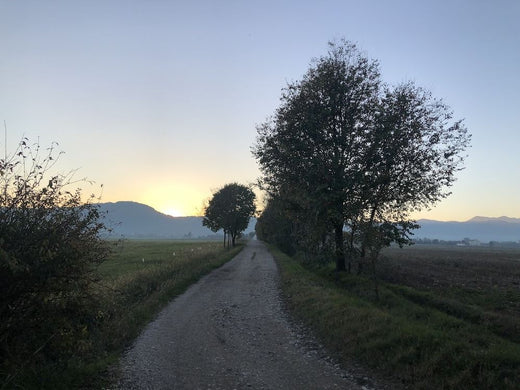 Itinerario tra la Valdezza e la Val Leogra in bicicletta