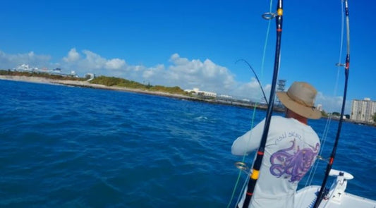 Pesca a Bolentino Costiero: guida completa, attrezzatura, esche e tecniche