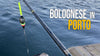 Pesca a Bolognese in Mare: guida completa, tecniche e consigli