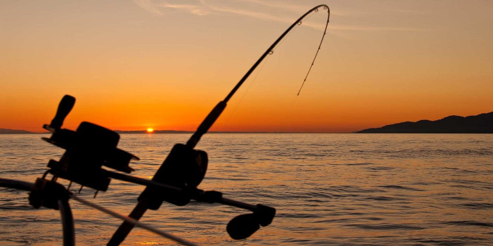 Pesca a Fondo in Mare: Guida Completa a Montature, Esche e Consigli
