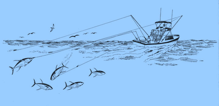 Pesca a Traina: Guida Completa Tecniche, Attrezzature e Prede