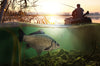 Pesca alla Carpa: Guida completa a Tecniche, Pasture e Spot Migliori per il Successo