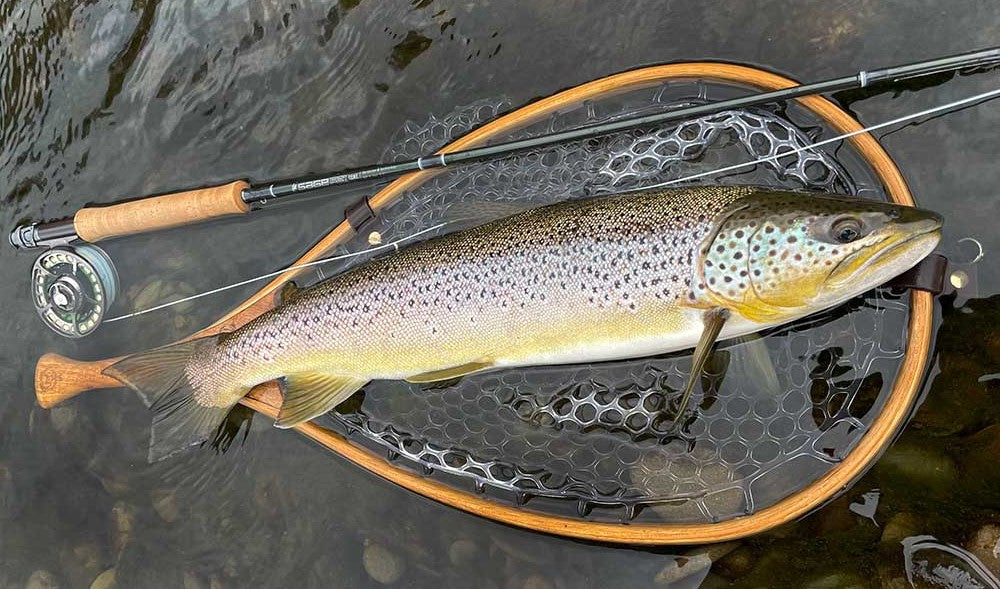 Pesca alla Trota in Torrente: Guida Completa a Strategie e Attrezzatura