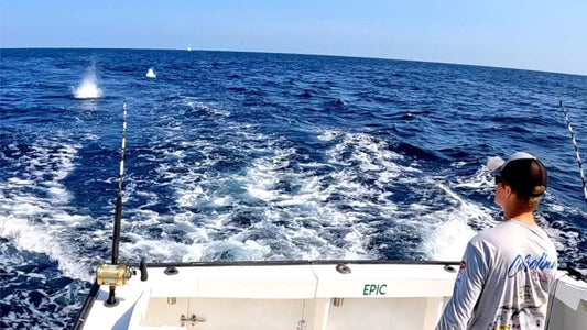 Pesca Drifting d’altura: guida completa attrezzatura, tecniche e consigli