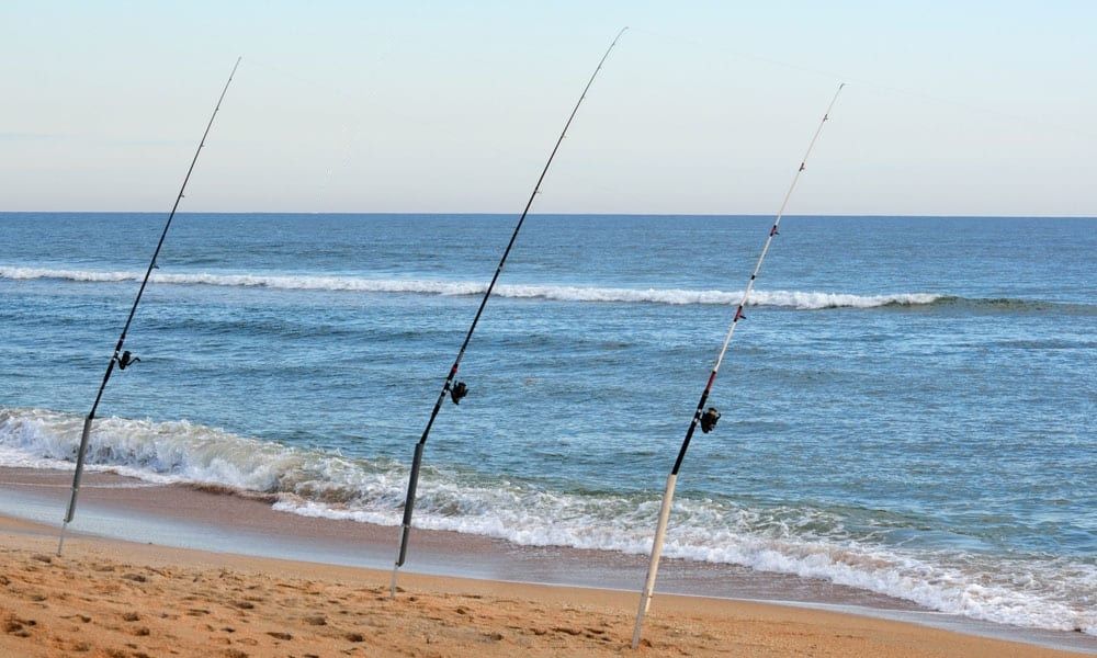 Pescare in Spiaggia di Lignano Riviera: guida completa (spot, tecniche, stagioni, regole)