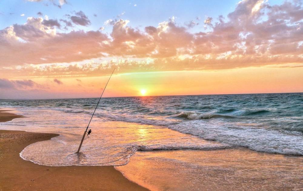 Surfcasting in Mare: Guida Completa