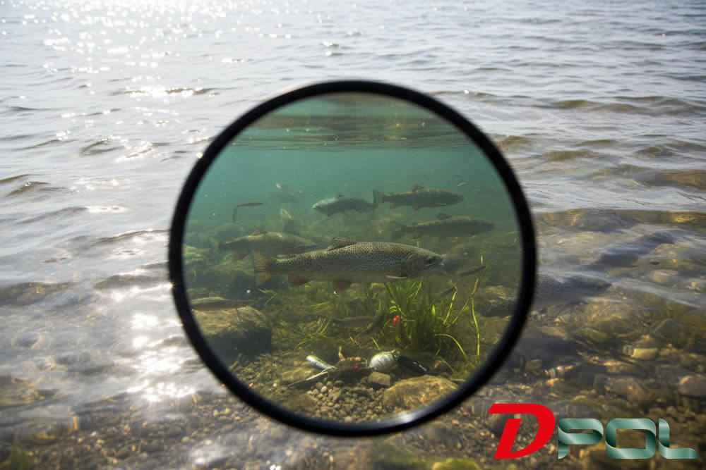 lente polarizzata per pesca sportiva per freshwater e saltwater